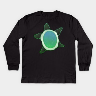 Pride Flag Space Turtle Aromantic Flag Kids Long Sleeve T-Shirt